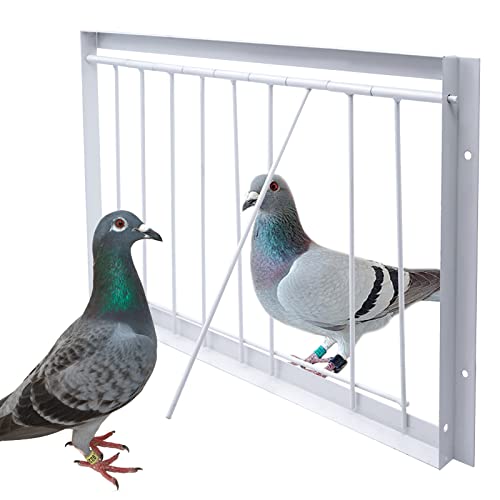 Junniu 15.7in/40cm Pigeon Cage T-Trap Birdcage Iron Wire Trap Door for Racing Pigeon, 15.7in (40cm)