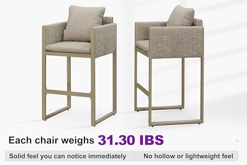 Image of PURPLE LEAF Outdoor Bar Height Stools Elliptical Leg Set of 2, Champagne