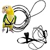 Adjustable Birds Harness and Leash Parrot Harness Leash Training Supplies Pet Anti-bite Outdoor Flying Rope for Conures Budgerigar Lovebird Cockatiel Mynah S, Black