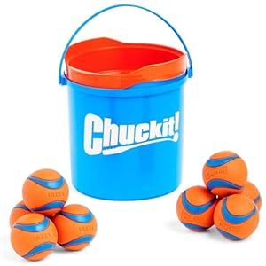 Chuckit ultra ball dog toy with chuckit cleaning bucket bundle bouncy fetch pet toys for dogs 20 60 lbs interactive dog toys durable rubber size medium 25 inch diameter 8 pack of balls  urban country home decor