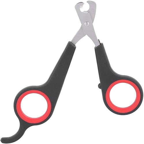 Miniatura 7 de TSYFM Cortaúñas para pájaros, tijeras de uñas de acero inoxidable sólido, tijeras de uñas para pájaros, tijeras para mascotas, pájaros, animales