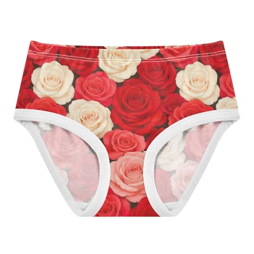 Joisal Toddler Girls Underwear 2t Cotton Panties for Girl Animals Briefs Girls Undies Red Pink White Roses