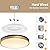 Lightania 13 Inch Flush Mount Ceiling Light with Remote Control & Night Light, 5CCT Dimmable Ceiling Light Fixture, 25W 2500LM 2700K-6500K Adjustable LED Ceiling Lights for Bedroom Kitchen Living Room