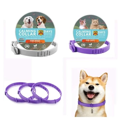 Collar cómodo para mascotas ajustable morado resistente al agua de 38 cm 5