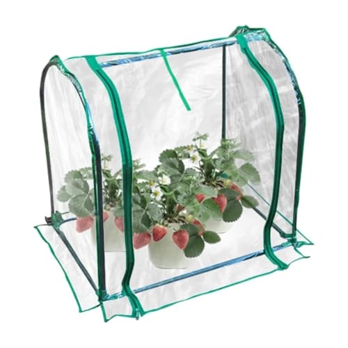 Fangxuee Invernadero de Mesa para Plantas de Jardín, Carpa de Vivero, Cúpula de Humedad para Interiores y Exteriores (Sin Estructura de Hierro)