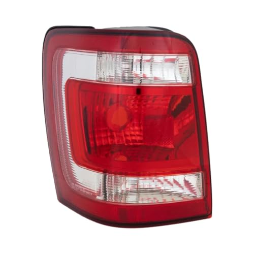 Tail Lightz Founders Your BehindtheScenes Look at Their Success