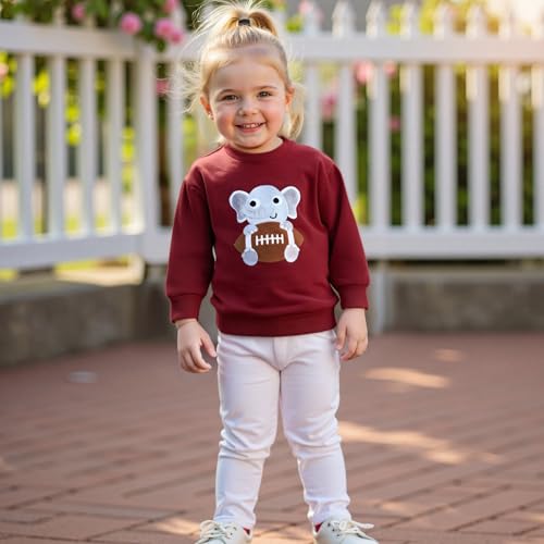 Toddler Girls Boys Sweatshirt Rugby Elephant Embroidered Crew Neck Long Sleeve Baby Pullovers Fall Clothes Top2
