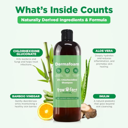 Image of DermaFoam Dog Shampoo 16 oz | Pet Supplies for Odor Control & Greasy Coats - Sulfate Free Moisturizing Formula Pet Shampoo, Fresh Cucumber Scent 500ml