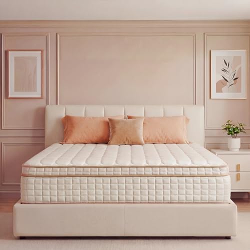 Queen Mattress,12 Inch Queen Size Mattresses in a Box,Medium Firm...