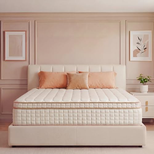 Queen Mattress,12 Inch Queen Size Mattresses in a Box,Medium Firm Queen Hybrid Mattress,with Memory Foam and Individual Pocket Spring for Motion Isolation & Silent Sleep&& Pressure Relief，80' x 60'