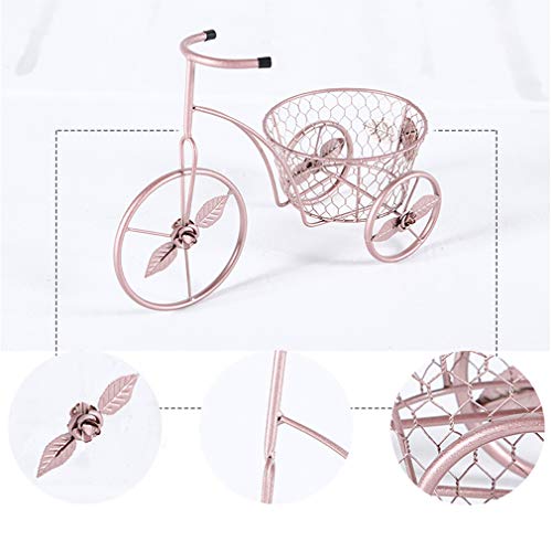 Wrought Iron Bicycle Plant Stand,Floor-Standing Indoor Plant Holder,Living Room Balcony Plant Stand,Multi-Purpose Storage Rack,Suitable for Home Garden Lovers