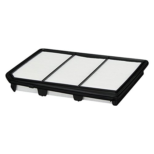 Ecogard Xa10599 Premium Engine Air Filter Fits Nissan Titan 5.6L 2017-2021, Titan Xd 5.6L 2017-2019 #TOP1