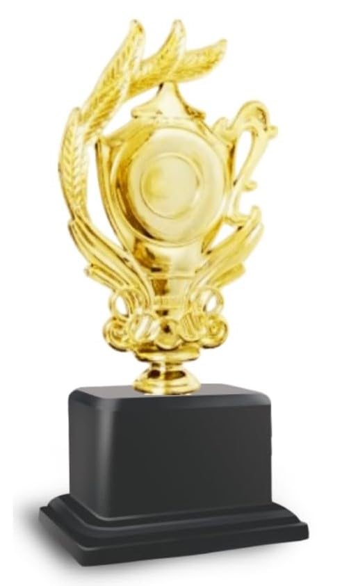 Award Trophy for Winners,Award Ceremony with All Customization Logo for Events, Functions, (15 CM)-picture-18