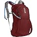 CamelBak Women's Daystar 16 Crux Reservoir Hydration Pack, Red Dhalia/Stone Blue, 2.5 L/85 oz