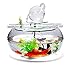 Liudan Aquariophilie/Petit Aquarium Bureau Créatif Rond en Verre Aquarium Aquarium Petite Maison Salon LED Lumière Aquarium Décoration Aquarium en Verre