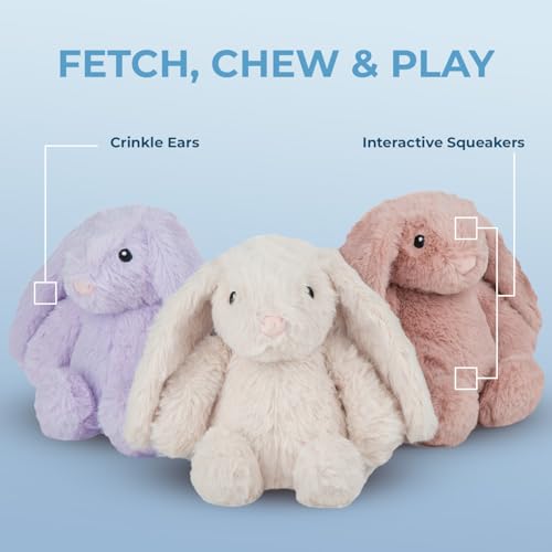 Image of Best Pet Supplies Interactive Bunny Buddy Dog Toy with Crinkle and Squeaky Enrichment for Small and Medium Breed Puppies or Dogs, Cute and Plush - Bunny (Mauve), Small