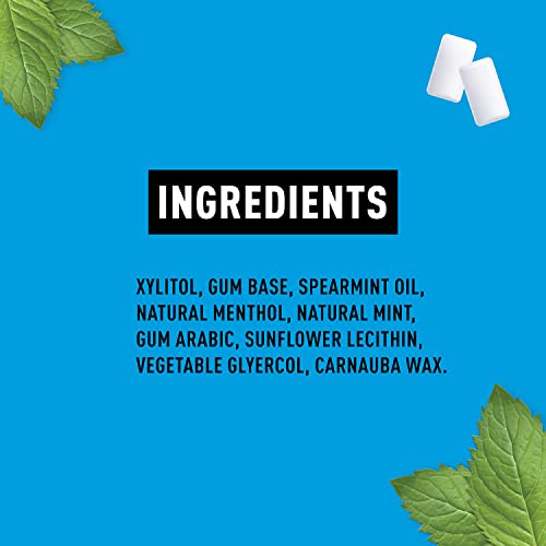 Peppersmith 100% Xylitol Chewing Gum Spearmint, 50 Gr #TOP2