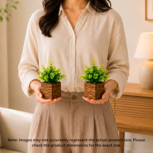 Image of DecoreBugs Artificial Eucalyptus Plant with Plastic Pot (Pack of 2) | 12 cm Height | Mini Potted Plants for Shelf Decor, Home, Office, Living Room, Desk & Table Item Decoration