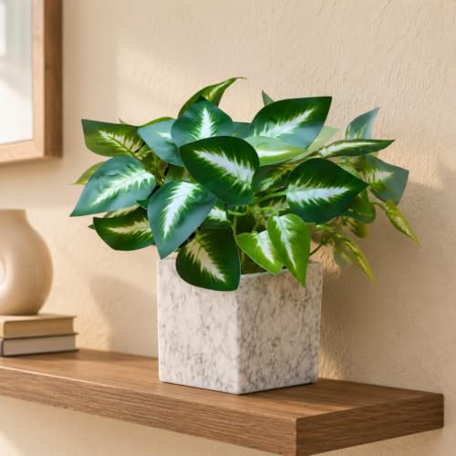 Image of fancymart Artificial Plant with Real-Touch Leaves in Pot, 25 cm, Indoor Tabletop Item for Home Decor, Office, Living Room