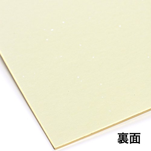 Amazon | 色紙 銀潜紙 色紙 ※1枚ポリ袋入り | 色紙 | 文房具