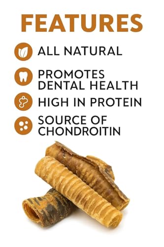 Image of Scooby Chews Buffalo Trachea for Dog 100% Natural Pet Treats, Long Lasting Crunchy Dog Chews, Single Ingredient Sticks, Promotes Joint, Dental Health, High Protien Snacks Pack (14 Count (Pack of 1))