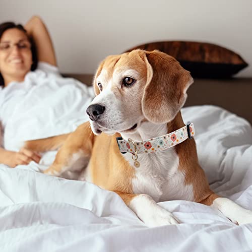 Faygarsle Cotton Designer Dogs Collar Cute Flower Dog Collars For Girl Female Small Medium Large Dogs With Flower Charms L #TOP5