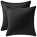 Funda Cojín, Paquete de 2, Fundas de Almohada Decorativas Cuadradas de Terciopelo Blando Sólido, Fundas Cojín Euro para la Granja, Sofá, Niños, Interiores y Exteriores,50 x 50cm,20x20inch,Negro