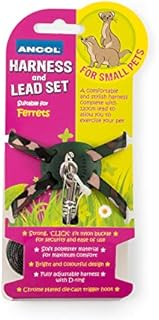 Ancol Ferret Harness and Lead