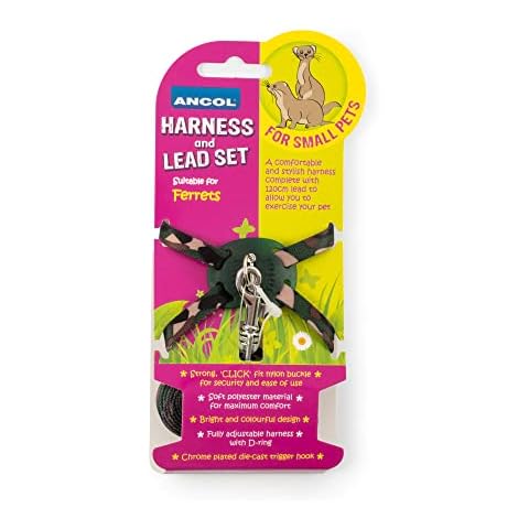 Harnais et Laisse Ancol pour Furet Cover