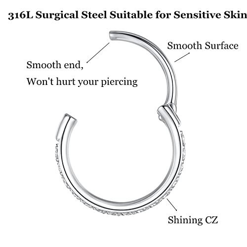 CZ Hinged Segment Nose Rings Hoop 316L Surgical Steel Cubic Zirconia Conch Daith Helix Tragus Body Piercing Jewelry Lip Rings Cartilage Earrings 20G 18G 16G Stainless Steel Septum Clicker Ring3