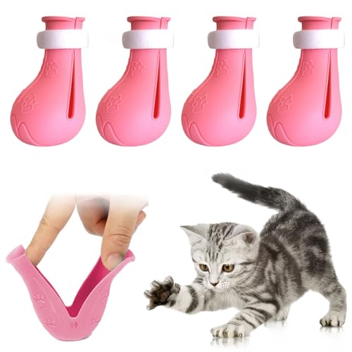 Cat Claw Covers The 15 best products compared Wild Explained