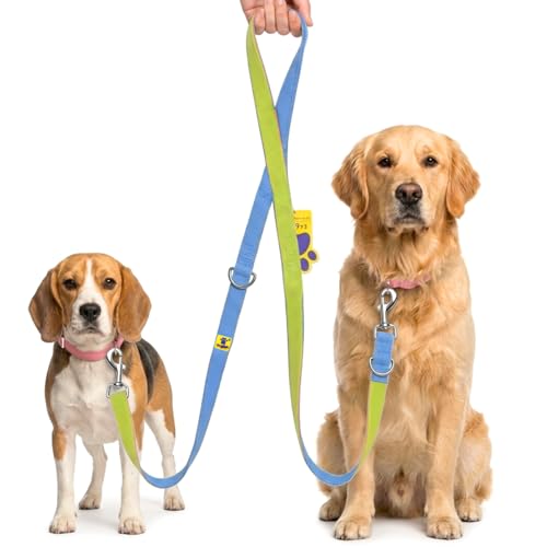 Image of A+a Pets' Multi-Function Cotton Leash to Walk 2 Dogs | Long, Short, Hands Free, Traffic, Running, Walking | Adjustable, Soft Comfortable (Blue & Green)