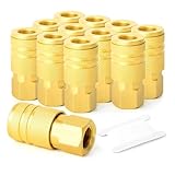 Lot de 12 coupleurs d'air femelles en laiton de 6,35 mm à connexion rapide pour site d'atelier automobile pour améliorer l'efficacité des systèmes