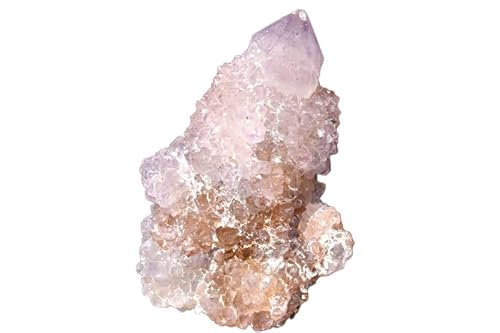 ytzyP_zAtJY T{eAWXg(JN^XNH[c) 61x41x27mm NX^[ _CG6385y}ւ̂݁z VR p[Xg[ 