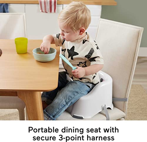 Fisher-Price Portable Toddler Dining Chair Simple Clean & Comfort Booster With Contoured Seat And Harness, Raccoon #TOP2