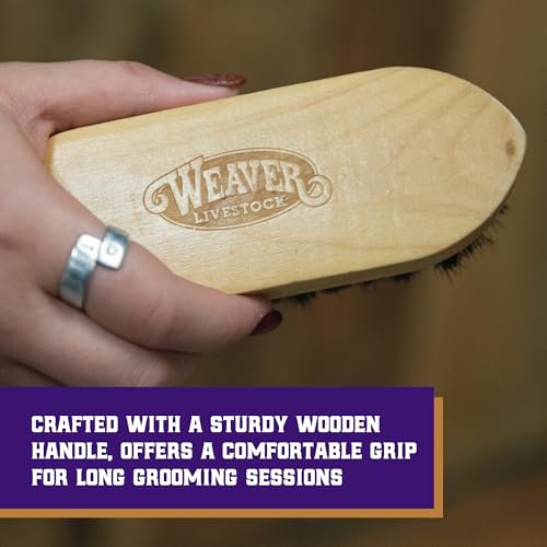 Weaver Livestock Barn Brush, Wooden Grooming Brush for Goat, Sheep, Pigs, Cattle, Stiff Bristles for Dirt Removal, Show Animal Grooming Tools - Image 5
