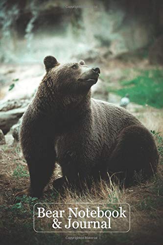 Bear Notebook & Journal
