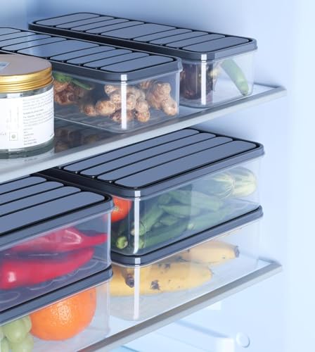 BUNVOX™ Fridge Storage Boxes Freezer Storage Containers, Container for Kitchen Storage Set, Storage in Kitchen, Vegetable Storage, Refrigerator Food Box (1200 ML [Pack of 2])