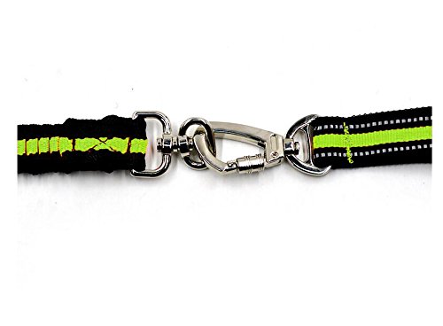 Ploopy Guinzaglio da Addestramento per Cani