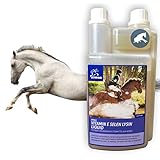 ♥ WE LOVE ANIMALS I  FLÜSSIGES ERGÄNZUNGSFUTTER I Vitamin E Lysin plus Selen, zur Unterstützung der Muskulatur I Vitamin E Selen für den Muskelstoffwechsel I bestes Pferdefutter auch für Sportpferde & Turnierpferde & Senioren I Zusatzfutter Anwendung: Sie können dieses Futtermittel verwenden, indem Sie bei Großpferden, Ponys, Fohlen und Jährlingen diese Vitamine in das Kraftfutter, Pellets, Mash oder Leckerlies mischen I Unterstützt den Energiestoffwechsel