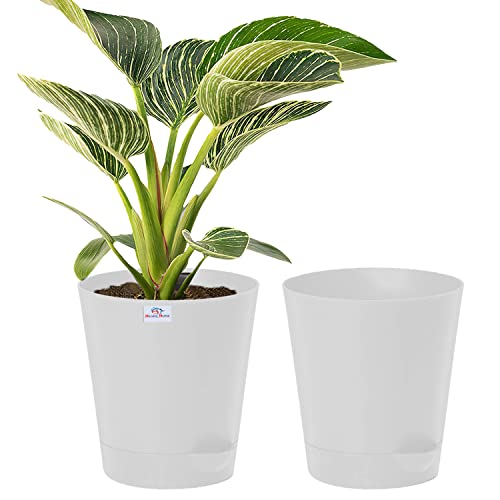 Image of Heart Home Plastic Titan Pot|Garden Container for Plants & Flowers|Self-Watering Pot with Drainage Holes,6 Inch,Pack of 2 (White)