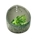 Ceramic Vanille Peeling - Handgemachter Sparschäler | Keramik für Kräuter - zum Kochen von...