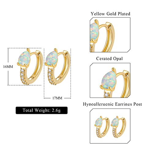 Lasidor Gold Small Hoop Earrings Opal Hinged Huggie Earrings Yellow Gold Plated Hypoallergenic Earrings For Women Girls Men #TOP6