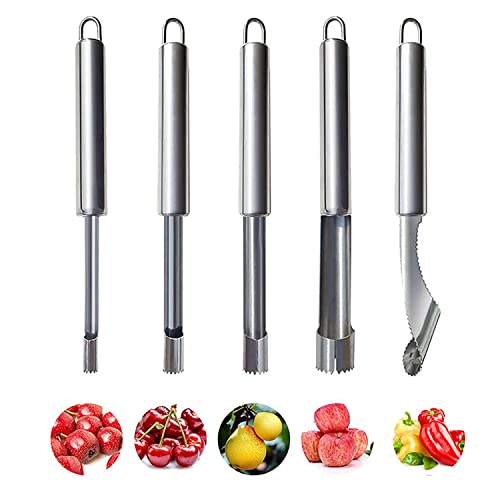 5Zbg S̐c ʕ ʕc XeX snt @\ TUV `F[ Abv `