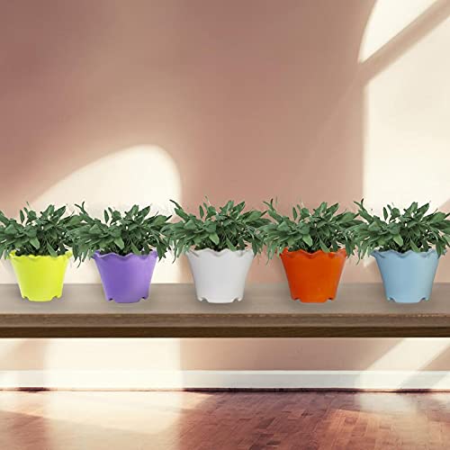 TrustBasket Jasmine Flower Pot (Set of 5 (B099ZTWB5C) Amazon Price History, Amazon Price Tracker