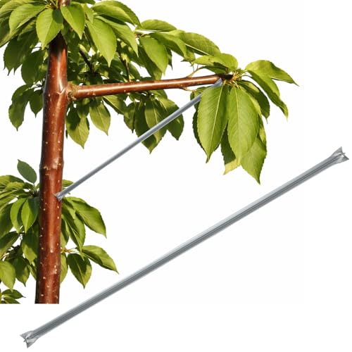 Shimeyao 20 Pcs Fruit Tree Limb Spreader 16 Inch Branch Puller for Fruit Tree Branch Spreaders Galvanized Metal Crotch Angle Openers Ranch Bending Tools for Apple Pear Sour Cherry Plum