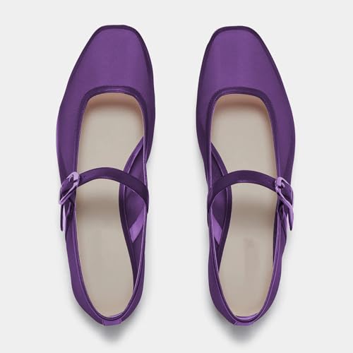 Stylish Mesh Mary - Jane Flats for Women - Buckled Strap & Pointed Toe Design4