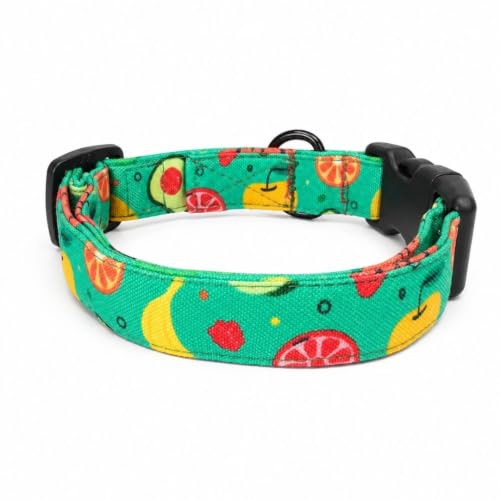 Image of Lana Paws Fruity Floof Fabric Dog Collar, Lightweight & Durable Belt for Small Dogs