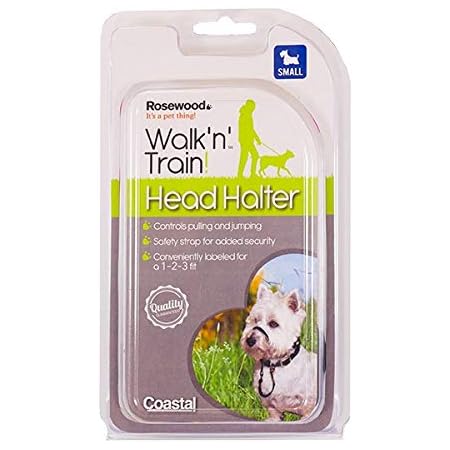 dog head halter training