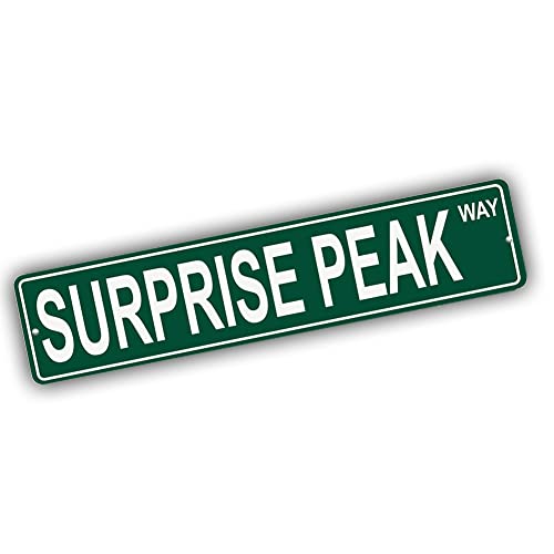 Brotherhood Aluminum Street Sign for Surprise Peak - Nevada Man Cave Decor